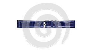 The watchstrap isolated