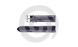 The watchstrap isolated