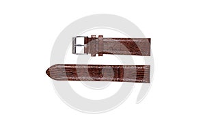 The watchstrap isolated