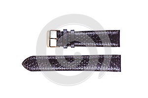 The watchstrap isolated
