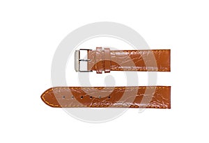 The watchstrap isolated