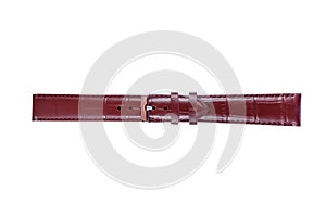 The watchstrap isolated