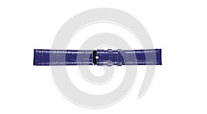 The watchstrap isolated