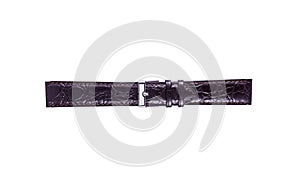 The watchstrap isolated