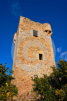 Watchtower Gats vigia Cabanes Castellon