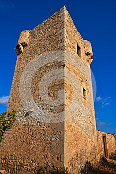 Watchtower Gats vigia Cabanes Castellon