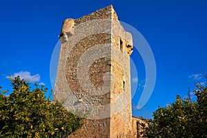 Watchtower Gats vigia Cabanes Castellon photo