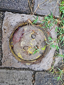 water absorption hole on a residential road