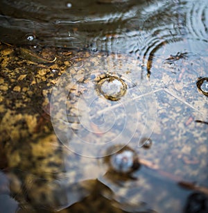 Water abstraction detail