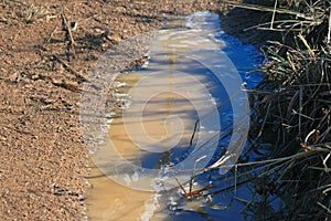 WATER ACCUMULATED ON SIDE OF DIRT TRAIL AFTER RAINS