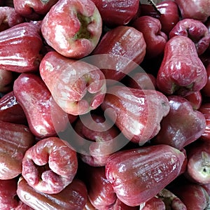 Water apple or jambu air