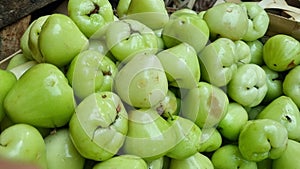 Water apple or water guava (Syzygium aqueum) in the market photo