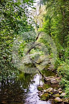 Water area by Kruklanki bridge, August 2021