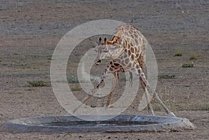 Water art in veld