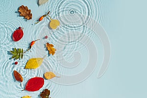 Water background with ripples and drops, colored fallen leaves. copy space