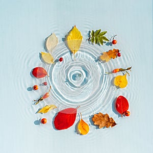 Water background with ripples and drops and colored fallen leaves. copy space