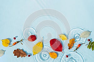 Water background with ripples and drops and colored fallen leaves. copy space