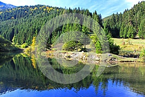 Water basin at forest