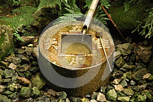 Water basin at Ryoanji