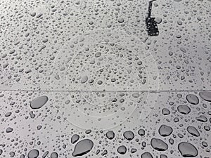 Water Beading on Black Car photo