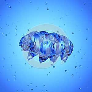 a water bear