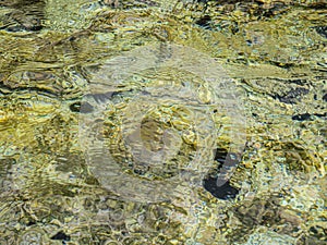 Water and beautiful sea view underwater, sea urchins. Natural living. Pelion peninsula. Pagasetic gulf. Platanias village. Greece.