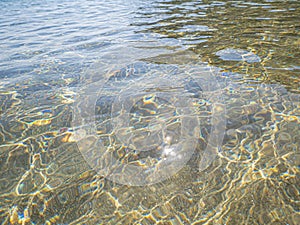 Water and beautiful sea view underwater, sea urchins. Natural living. Pelion peninsula. Pagasetic gulf. Platanias village. Greece.