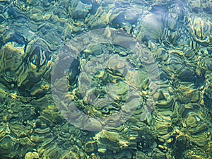 Water and beautiful sea view underwater, sea urchins. Natural living. Pelion peninsula. Pagasetic gulf. Platanias village. Greece.