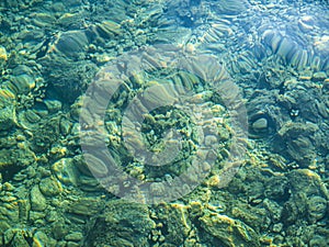 Water and beautiful sea view underwater, sea urchins. Natural living. Pelion peninsula. Pagasetic gulf. Platanias village. Greece.