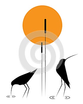Birds silhouettes and bamboo on sunset, vector. Water birds, illustration. Minimalist art design. Poster design, minimalism