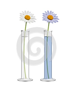 Water and blue ink in a test tube with flower test