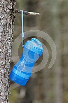 Water bottle hanging on a branch