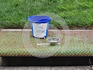 water bowl for dogs on a walk in neighborhood during hot days in the summer, photo