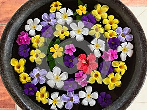 Water bowl filled with an arrangement of colourful floating flowers
