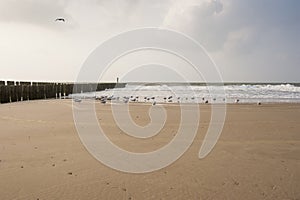 Water breakers on the Dutch Coast