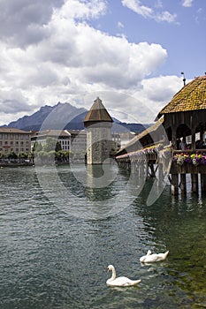 A water with a bridge and buildings