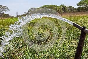 Water bring life in venezuela