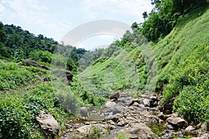 Water brook in the forest in Thailand