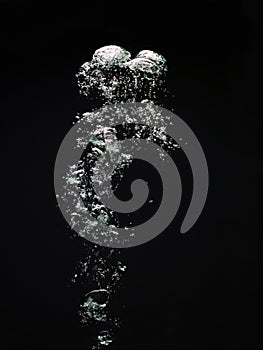 Water bubbles on black background