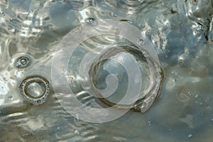 Water bubbles form abstract patterns and tectures 6