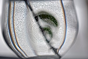 water bubbles on the inner surface of a glass