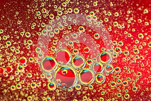 Water bubbles on red background. Scientific image of cell membrane. Macro up of liquid substances. Abstract molecule atom