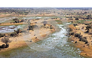 Water buffalo in the Okavango delta, Botswana - Aerial shot