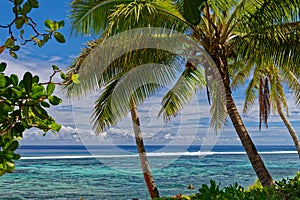 The water is calling in Tonga