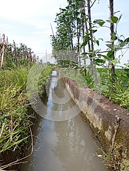 Water Canal