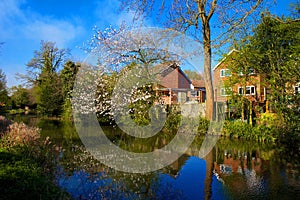 Water canal in Ash, Hampshire