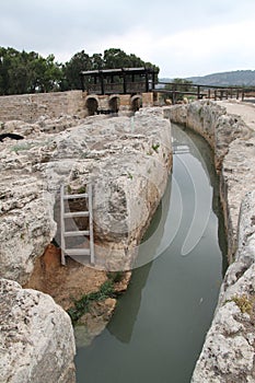 Water Canal at Nahal Taninim Nature Reserve, Israel