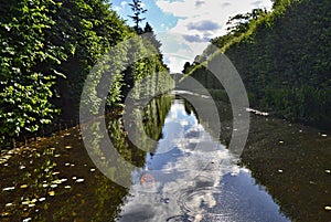 Water canal in Oliwa park in Gdansk - Danzig