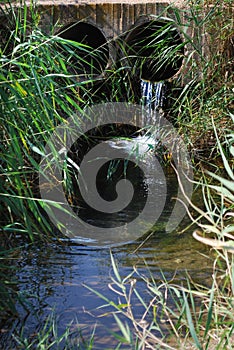 Water canals in Nature