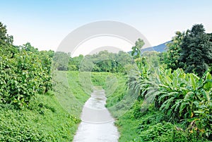 Water Canel to farmland field for agricultural